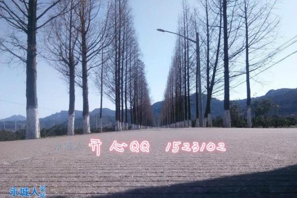 永城李寨附近算命的 永城李寨附近算命的