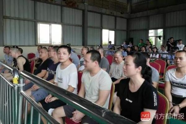 张伟光八字 张伟光八字