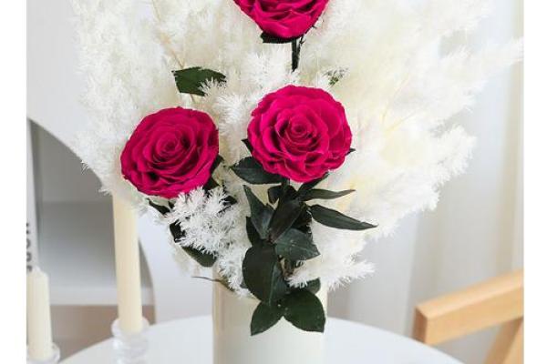 玫瑰插花风水 玫瑰插花风水