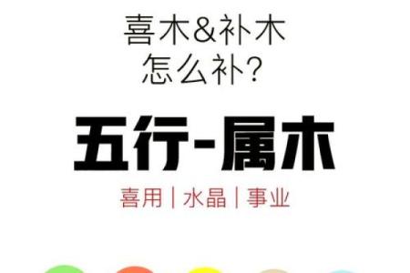 五行缺木八字喜水的字