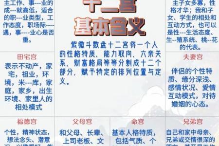 为什么紫薇斗数那么准