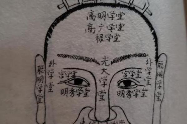 面相算命入门：三停，什么是三停？