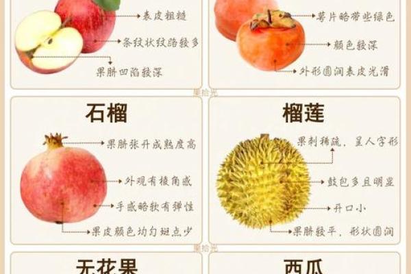 风水上供最好的8种水果有哪些可以选择 风水上供最好的8种水果有哪些可以选择