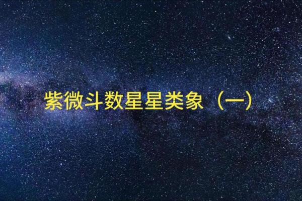 紫薇斗数中的紫微星 紫薇斗数中的紫微星