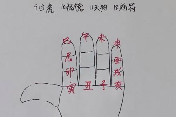 道教怎么看生辰八字算命