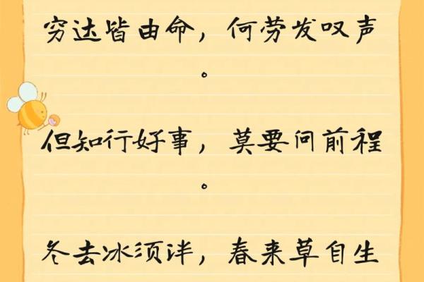 「法庭故事」相信算命先生一句话，大汉千里行窃追悔莫及