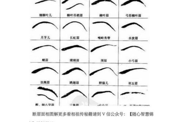 面相：眉形与命运，眉有断痕为什么不好？眉顺为好相，眉毛散乱多忧愁，八字眉个性随和