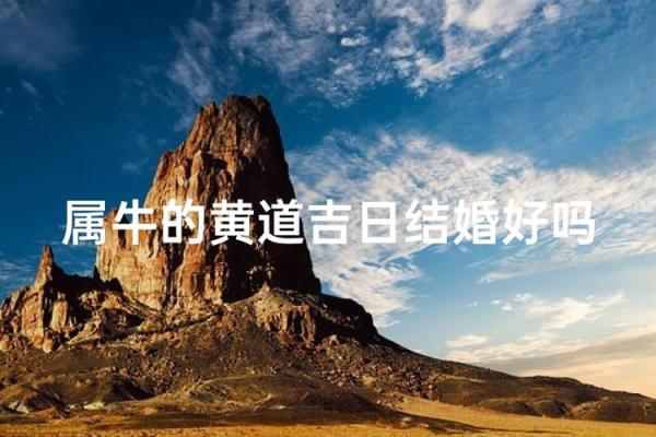 属牛出生最好六个吉日 属牛的出生吉日 属牛出生最好六个吉日 属牛的出生吉日