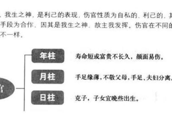 八字命官什么意思 八字命官是什么 八字命官什么意思 八字命官是什么