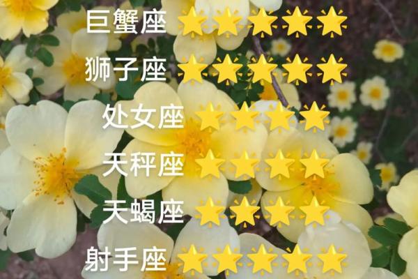 桃花运最好的星座是白羊座吗