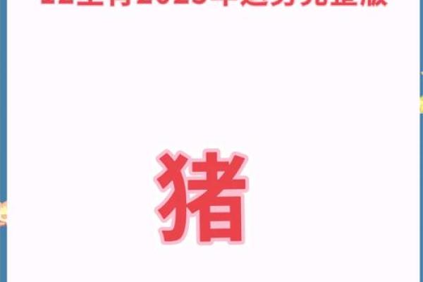 属猪男八字