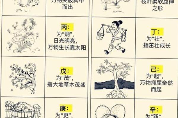 八字木多的人需要多注意哪方面呢