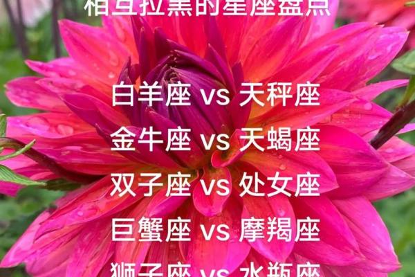 分分合合 一辈子会互相纠缠的星座