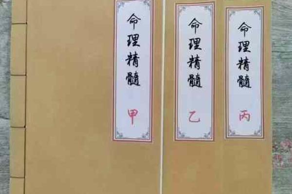 八字赋金书,命理千金赋