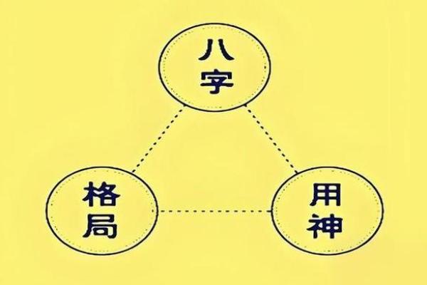 八字中从格