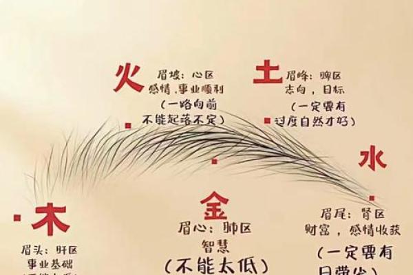 八字眉的女人命运怎么样财运好吗