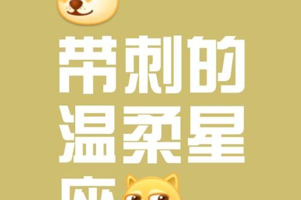 收到等待已久的信息会粲然一笑的星座