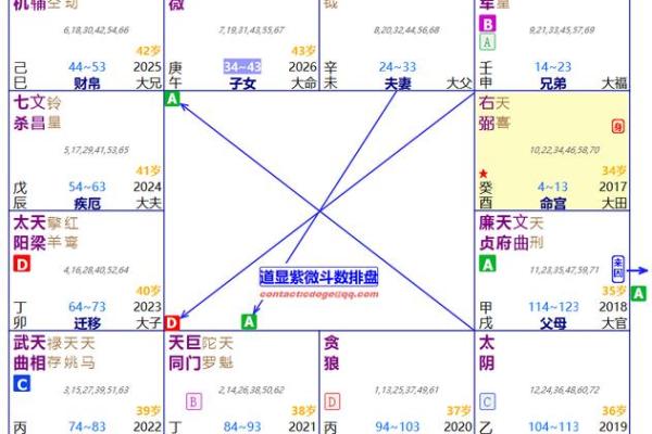 循环忌紫薇斗数 循环忌紫薇斗数