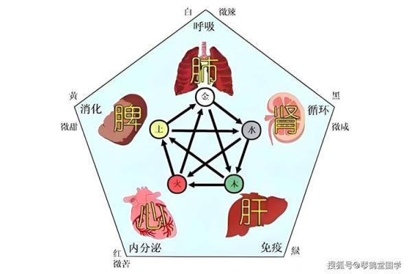 用自己的八字看健康疾病的思路