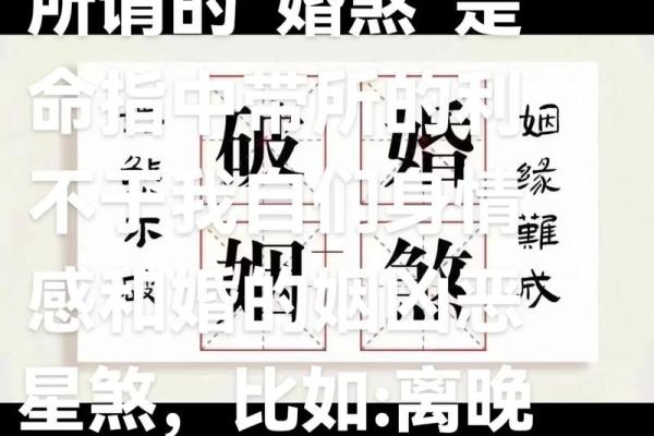 双重八字 双重八字