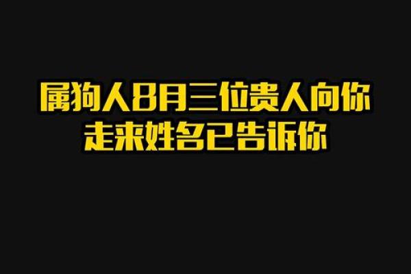 中午出生的属狗男孩应该取什么名,用什么字好姓名 中午出生的属狗男孩应该取什么名,用什么字好姓名