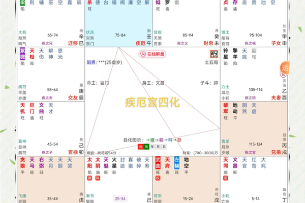 紫微斗数疾厄宫看健康情况