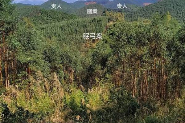 南宁风水_广西的左江在哪里啊