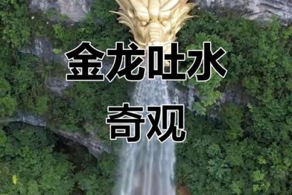 风水上龙吐水寓意是什么