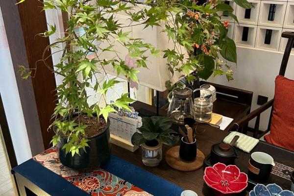 家庭风水不好有什么表现气场混乱