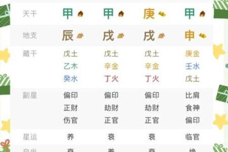 八字排盘详解破解版
