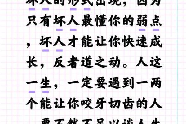 坏人的八字 坏人的八字