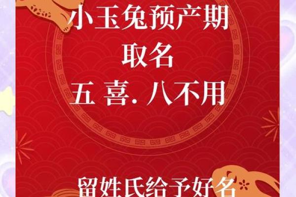 属兔卯时出生的男孩取名宜用什么字姓名 属兔卯时出生的男孩取名宜用什么字姓名