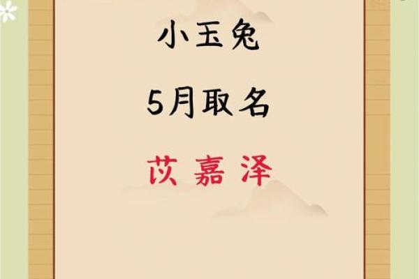 属兔卯时出生的男孩取名宜用什么字姓名 属兔卯时出生的男孩取名宜用什么字姓名