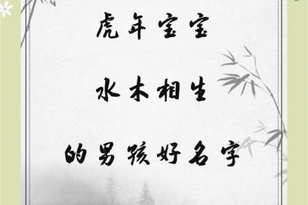 2019年6月20号寅时出生的男孩如何起名姓名 2019年6月20号寅时出生的男孩如何起名姓名