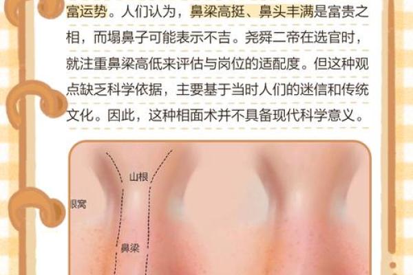 为什么说大鼻子女人不能要风水观点 为什么说大鼻子女人不能要风水观点