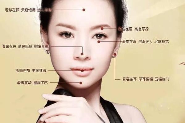 为什么说大鼻子女人不能要风水观点 为什么说大鼻子女人不能要风水观点