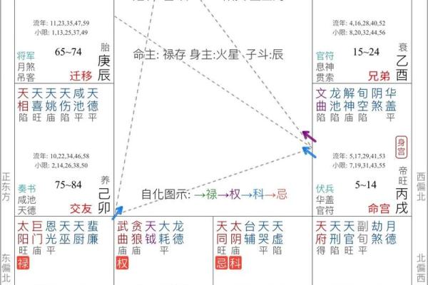 紫薇斗数小箭头