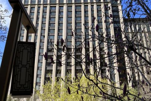 199平米的房子风水好吗