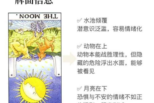 塔罗测试:九月事业运? 塔罗测试:九月事业运?