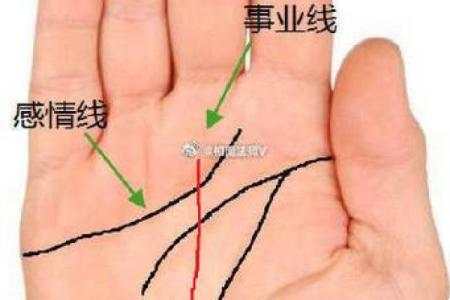 女人的事业线止于感情线命运如何风水