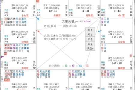 紫薇斗数右弼入命宫