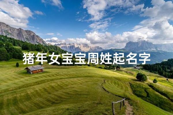 2019年出生的姓周女孩如何起名,宜用什么字姓名_1 2019年出生的姓周女孩如何起名,宜用什么字姓名_1