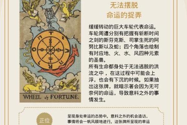 紫薇斗数和塔罗牌分别 紫薇斗数和塔罗牌分别