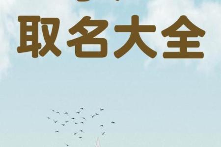 费姓女孩名字大全-费姓女孩起名字大全-费姓名字大全姓名