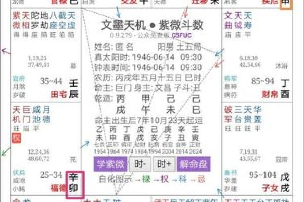 紫薇斗数一等命盘 紫薇斗数一等命盘