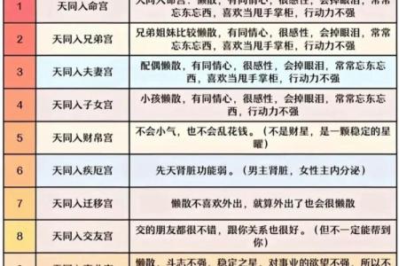 紫薇斗数最主要看什么