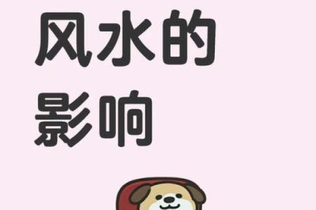 婚恋感情不顺？避开这风水雷区