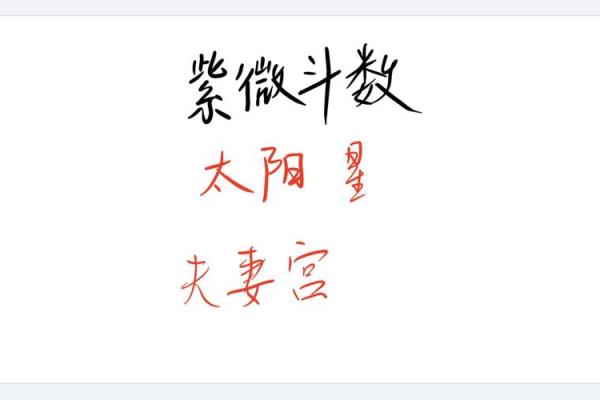 紫微斗数太阳星在各地的影响