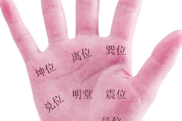 罕见的掌纹手相算命和图解