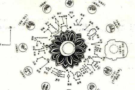 双胞胎紫薇斗数